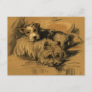 Terrier en Westie Briefkaart