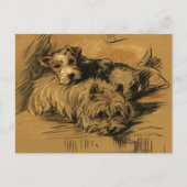  Terrier en Westie Briefkaart (Voorkant)