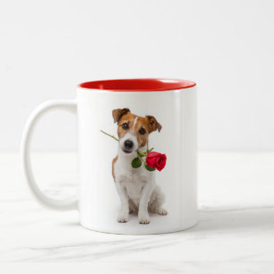 Terriër Liefde Tweekleurige Koffiemok
