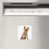 Terrier Magneet (Insitu (Vaatwasser))