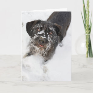 Terrier met sneeuwneusKerstmis Feestdagen Kaart