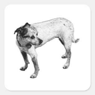 Terrier Mix Full-Body Monochrome Sticker