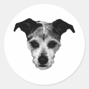 Terrier Mix op zoek naar Portret Sticker
