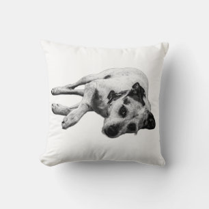 Terrier Mix Relaxed Side Pose Sierkussen