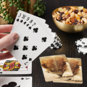 Terrier Pokerkaarten (Insitu)