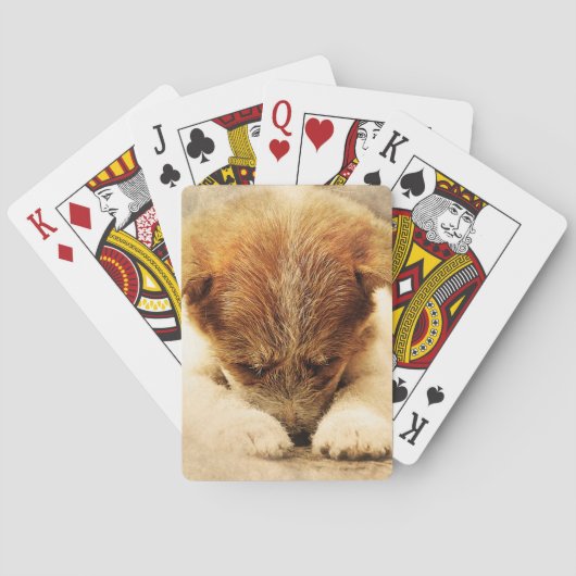 Terrier Pokerkaarten (Achterkant)