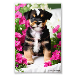 Terrier Puppy Satin Foto Uitbreiding Afdruk