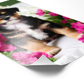 Terrier Puppy Satin Foto Uitbreiding Foto Afdruk (Hoek)