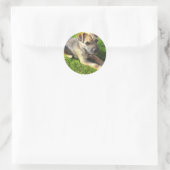 Terrier Puppy Sticker (Tas)