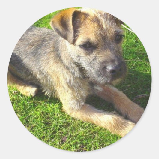 Terrier Puppy Sticker (Voorkant)