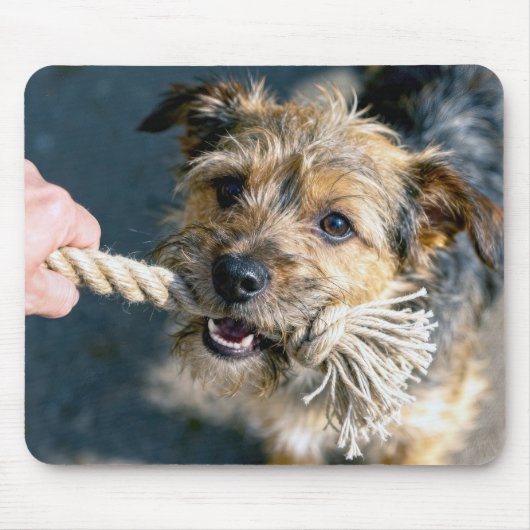 Terriërhond speelt touwtrekken muismat (Voorkant)