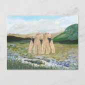 Terriers in Ierland Briefkaart (Voorkant)