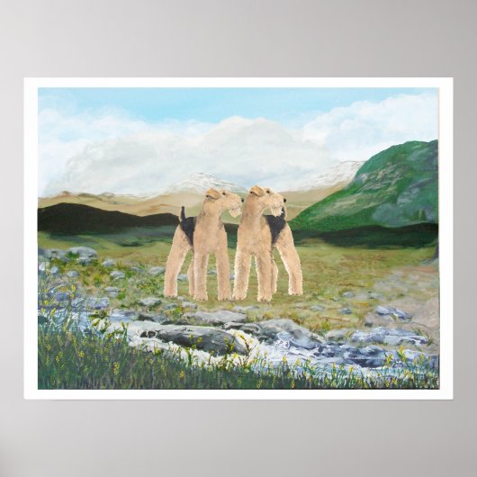 Terriers in Ierland Poster (Voorkant)