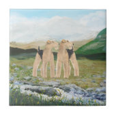 Terriers in Ierland Tegeltje (Voorkant)