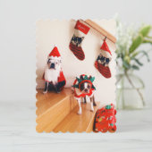 Terriers van Boston in de kostuums van Kerstmis Feestdagenkaart (Staand voorkant)