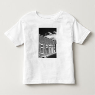 Territoriale architectuur, Santa Fe, New Kinder Shirts