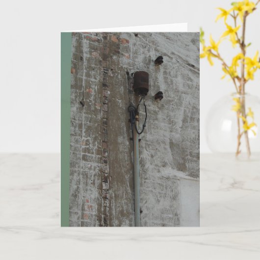 Terug Alley Kaart (Gele Bloem)