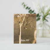 Terug Bay Fens Wildlife Briefkaart (Staand voorkant)