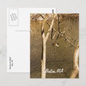 Terug Bay Fens Wildlife Briefkaart (Voorkant / Achterkant)