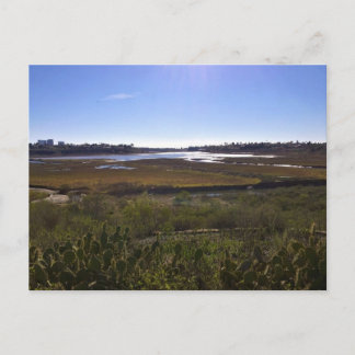 Terug Bay, Newport Beach, Californië Briefkaart