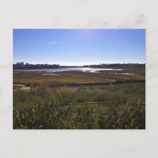 Terug Bay, Newport Beach, Californië Briefkaart (Voorkant)