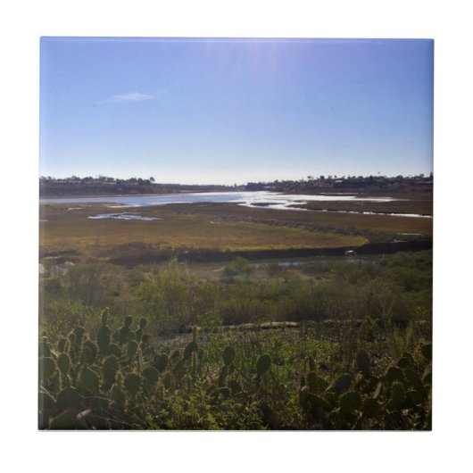 Terug Bay, Newport Beach, Californië Tegeltje (Voorkant)