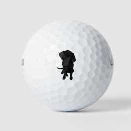 Terug Lab Puppy Golfballen