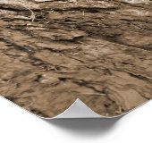 Terug naar de Natuur - Groeven en bomen Poster (Hoek)