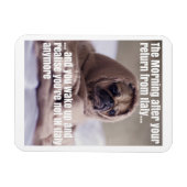 Terug naar Italië Magnet Magneet (Horizontaal)