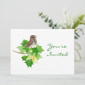 Terug naar Natuur, mus, vogel, wildernis Kaart (Staand voorkant)