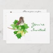 Terug naar Natuur, mus, vogel, wildernis Kaart (Voorkant / Achterkant)