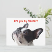 Terug naar School Boston Terrier Welkom Kaarten (Staand voorkant)