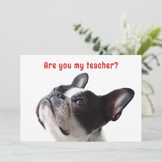 Terug naar School Boston Terrier Welkom Kaarten (Staand voorkant)