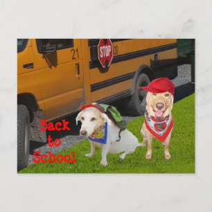 Terug naar School Briefkaart