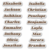 Terug naar School Custom Meerdere Naam Stickers (Voorkant)