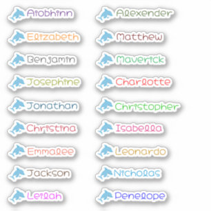 Terug naar School Custom Meerdere Naam Stickers