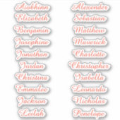 Terug naar School Custom Meerdere Naam Stickers (Voorkant)