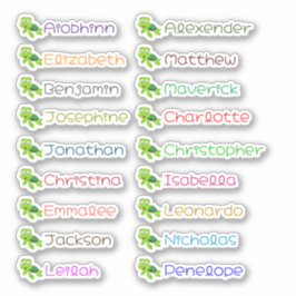 Terug naar School Custom Meerdere Namen Stickers