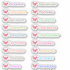 Terug naar School Custom Meerdere Namen Stickers