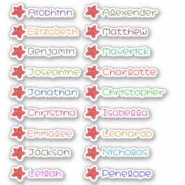 Terug naar School Custom Meerdere Namen Stickers