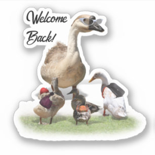 Terug naar school eenden sticker
