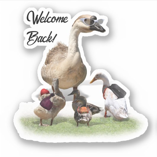 Terug naar school eenden sticker (Voorkant)