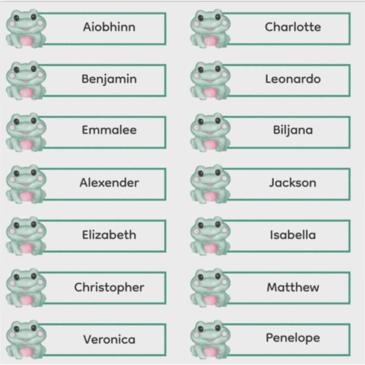 Terug naar school - Schattige Frogs Multiple Name Sticker (Voorkant)