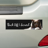 Terug van Tiger Bumpersticker (Op auto)