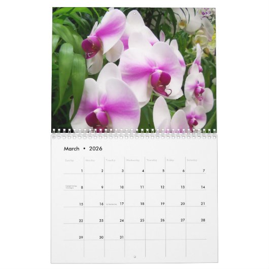 Terug Veranda Orchideeën Kalender (Mar 2026)