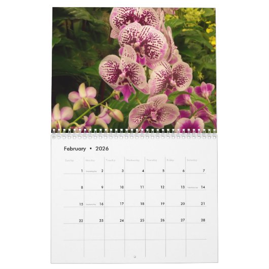 Terug Veranda Orchideeën Kalender (Feb 2026)