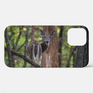 Terugblik schilderachtig iPhone Case