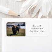 Teruggaveadreslabel Bison Etiket (Insitu)