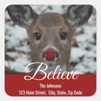 Teruggaveadreslabel rendier | Geloof Vierkante Sticker