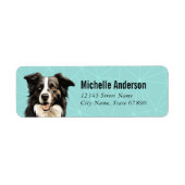 Teruggaveadreslabels voor Border Collie Etiket (Voorkant)